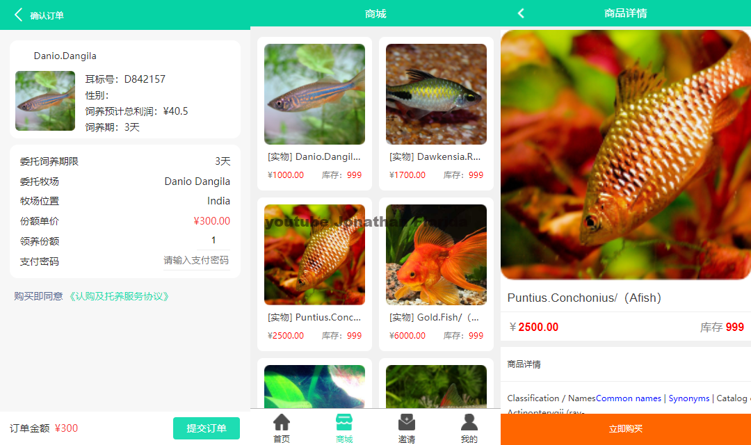 养鱼金融投资理财源码 支持商城 抽奖 投资收益余额宝等! 双语言支持中英文APP源码、精品源码 养鱼金融投资理财源码 支持商城 抽奖 投资收益余额宝等! 双语言支持中英文